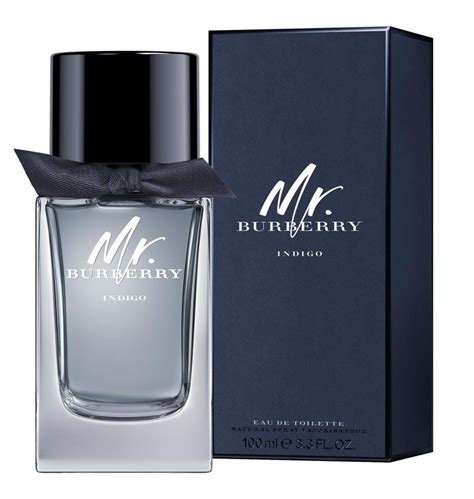 mr burberry cologne indigo|mr Burberry indigo 50ml.